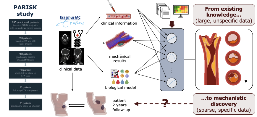Research framework linking PARISK clinical information, mechanical results and biological models to graph-derived mechanochemical simulations.