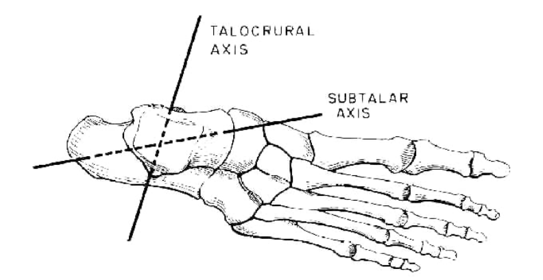 Fig5