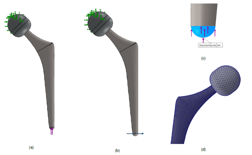 Fig. 1: Vincoli e scenari di carico verticale (a) e orizzontale (b). Zoom sull’area di applicazione del carico (c). Differenza di discretizzazione tra testa e stelo (d)
