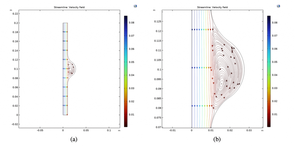 FIG. 3: Linee di flusso per il dominio assialsimmetrico del vaso aneurismatico (a); ingrandimento sulla zona aneurismatica (b). Si osservi come la velocità è molto bassa nella zona aneurismatica indice di una zona di ristagno.