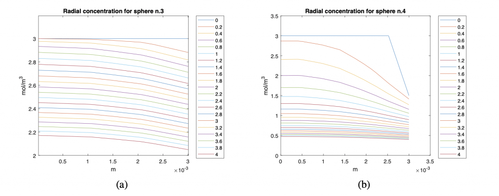 FIG. 10: Andamento radiale della concentrazione nelle sfere con coating (a) e senza coating (b) al variare del tempo di simulazione. La coordinata orizzontale si muove dal centro della sfera al bordo.