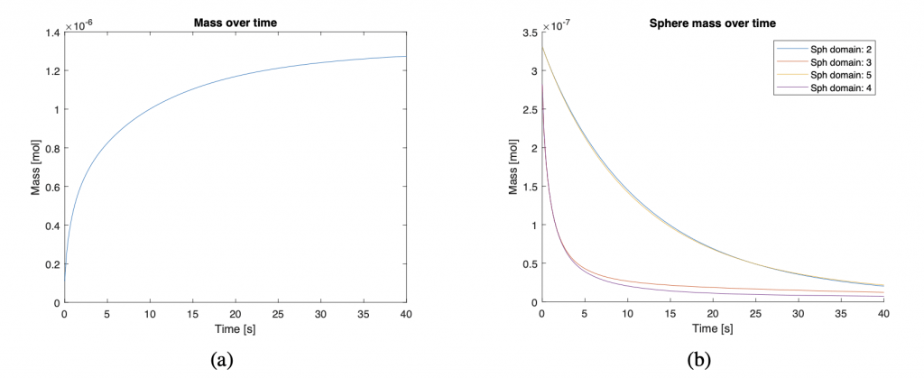 FIG. 11: Variazione della massa nel tempo (estensione del tempo di simulazione a 40s) nel cilindro (a) e nelle sfere (b). Risulta evidente la differenza tra le sfere con coating (domini 2,5) e senza (domini 3,4). La massa residua tende ad diventare nulla e diffonde nel cilindro ma lo fa con velocità diverse tra le due famiglie di sfere.