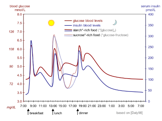 FIG. 2: Curva idealizzata dell’andamento di glucosio e insulina nel sangue durante il giorno, considerando tre pasti indicati dalle frecce [1]