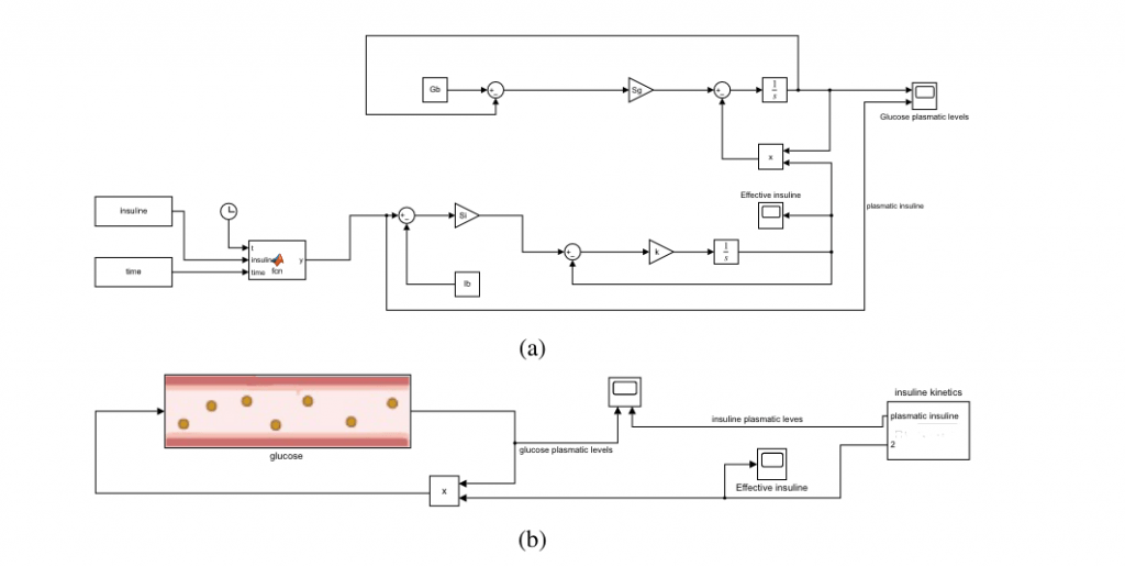 FIG. 7: Implementazione del sistema di equazioni differenziali descrittive il modello minimo del glucosio in versione estesa (a) e compattata mediante maschere e sotto-sistemi (b)