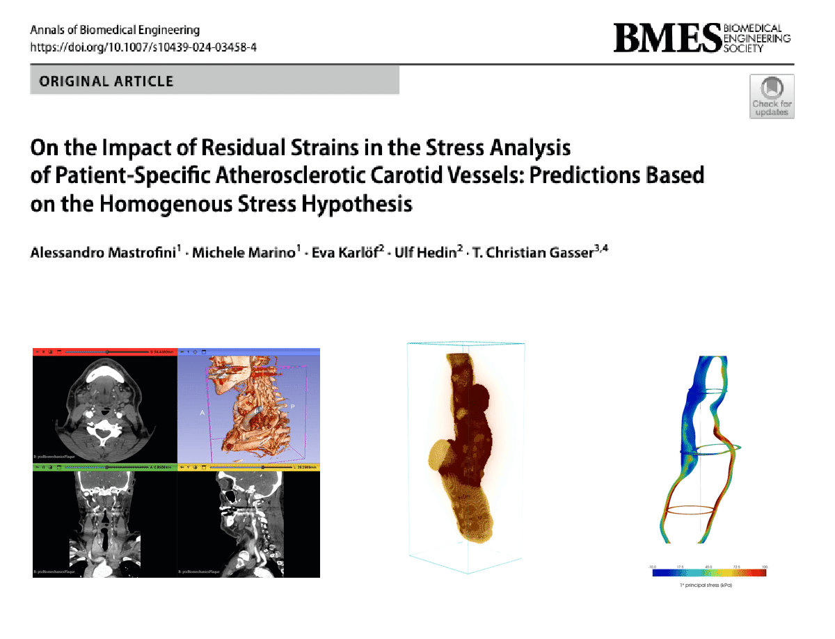 paper: https://link.springer.com/article/10.1007/s10439-024-03458-4